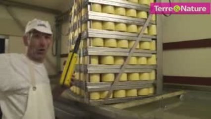 A la découverte  du terroir jurassien:  la tête de Moine AOC