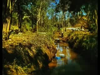 FIIE 2009 en Arles-Bande annonce