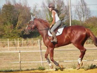 Nikyta chabaudiere, (aout et juillet 2009)