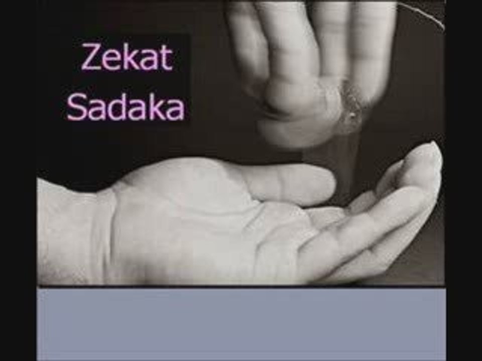 Zekat Nisabı