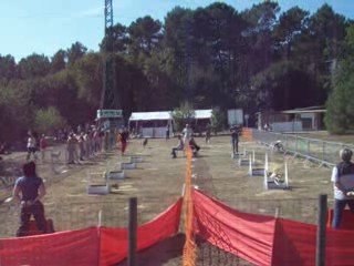 brassage 2 chien fly concours ccpm2009 142