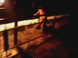 Tarte aux pommes OU poire