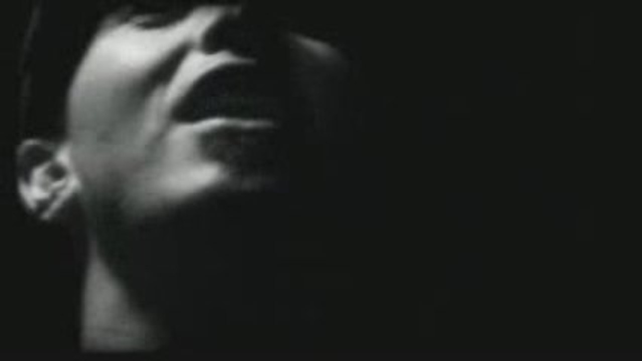 M.A.P "La chasse est ouverte"master HD  (MP06)