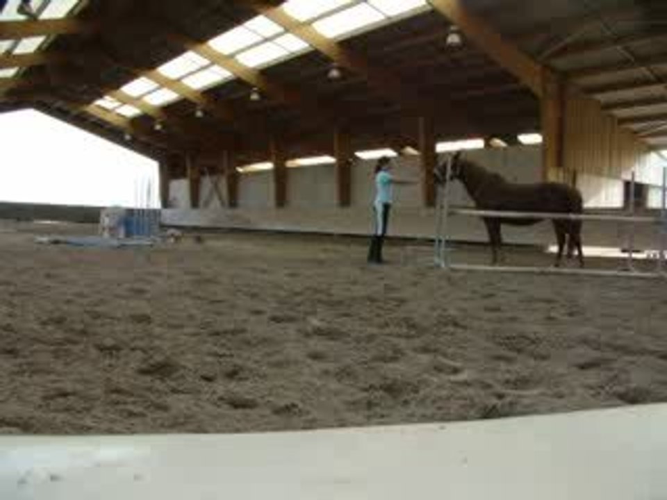 Seance d'Ethologie =)