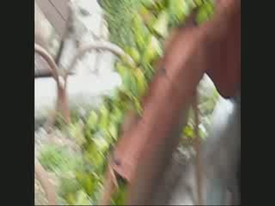 Wirtls Taubenturm - Phantasialand (Onride POV)