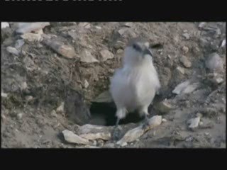 evolution conditionnement etc...  2sur4