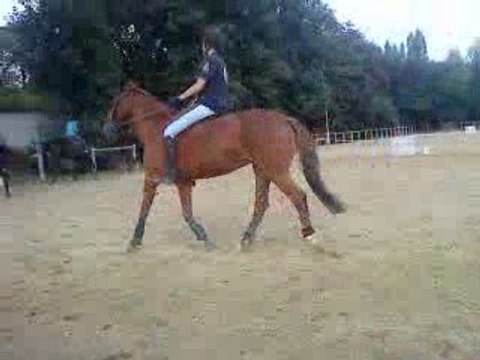 camille au galop a cru