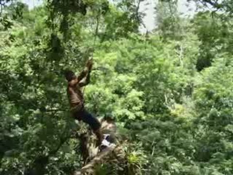 Canopy Tours In Panama: Backflips