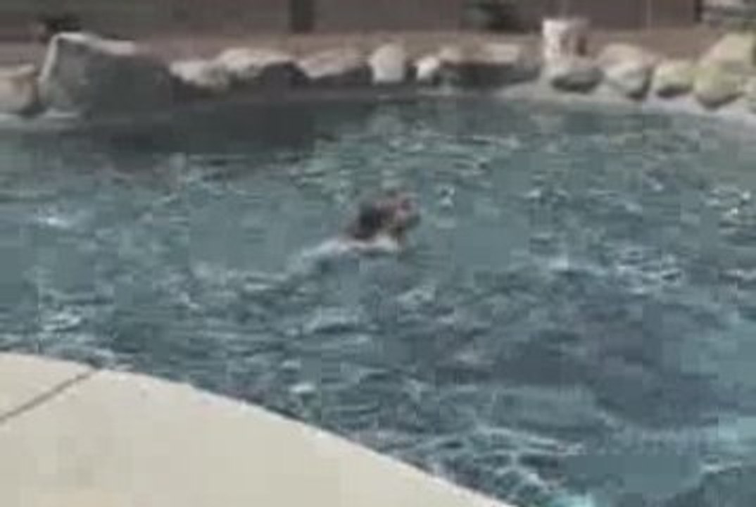 Erin Swimming