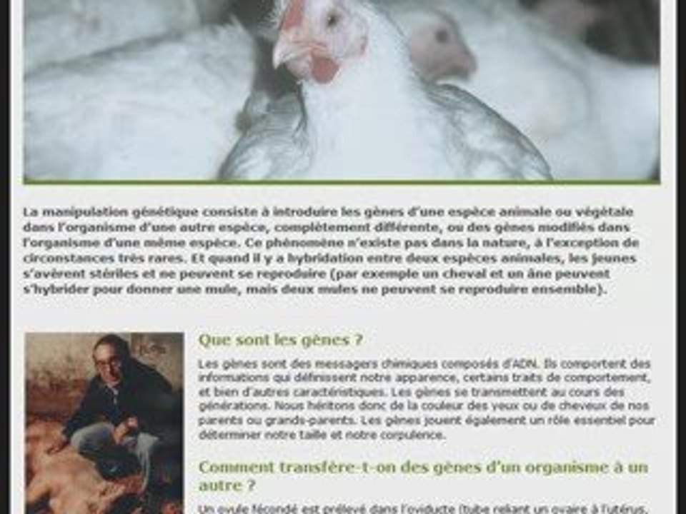 Tout est bon dans le Porc