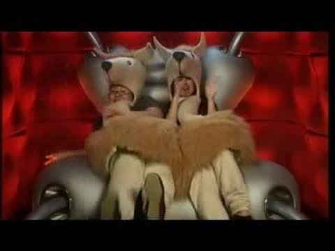 Rachel & Kat - Llama DR - Happy House