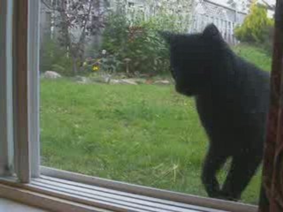 Nitro ki samuse dehors