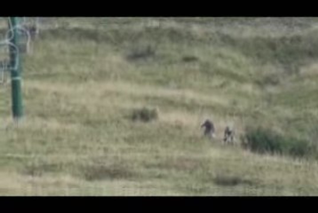 Basko et Vauban à Saint-Gervais 2009