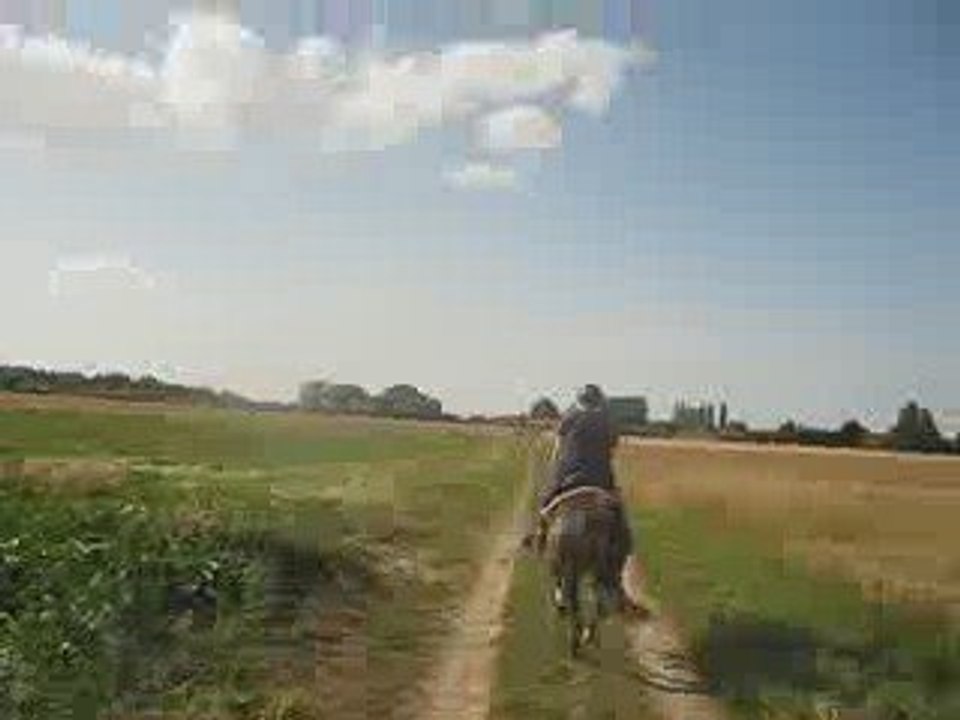Galop