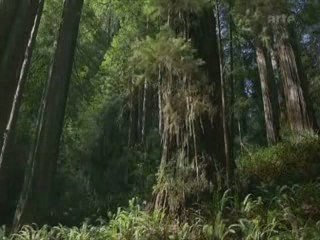 evolution conditionnement etc...  3sur4