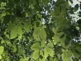 evolution conditionnement etc...  4sur4