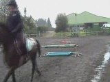 cours particulier de saut d'obstacle cheval
