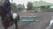 cours particulier de saut d'obstacle cheval