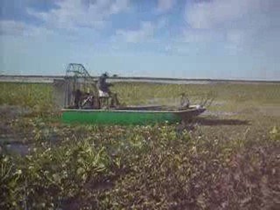 CAZA DE PATOS