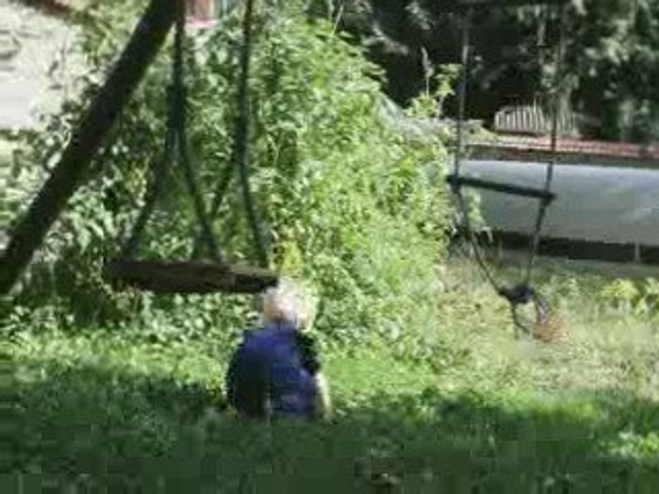 Petit Tom Sawyer