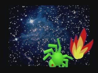 les araignées et les dictons