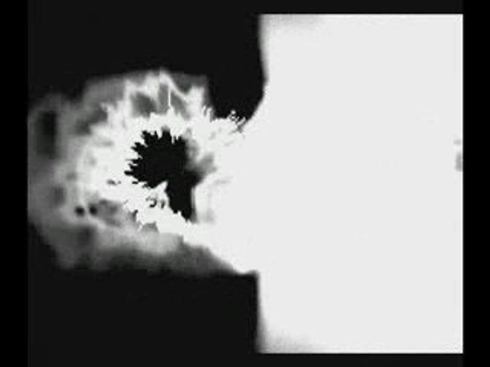 Phase_1 2009