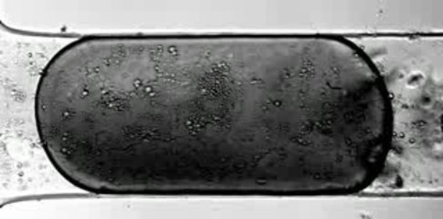 Mixing in microfluidic drops