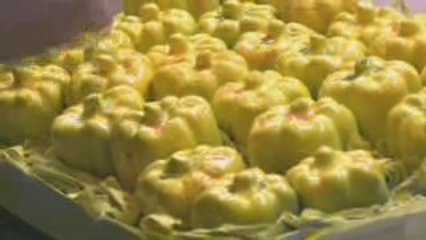 Fantastic Mr. Fox ("The World of Roald Dahl" Featurette)