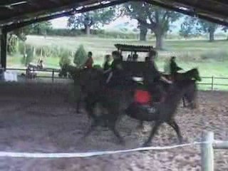 Carrousel Sévillanes (Urkodea juin 2009)