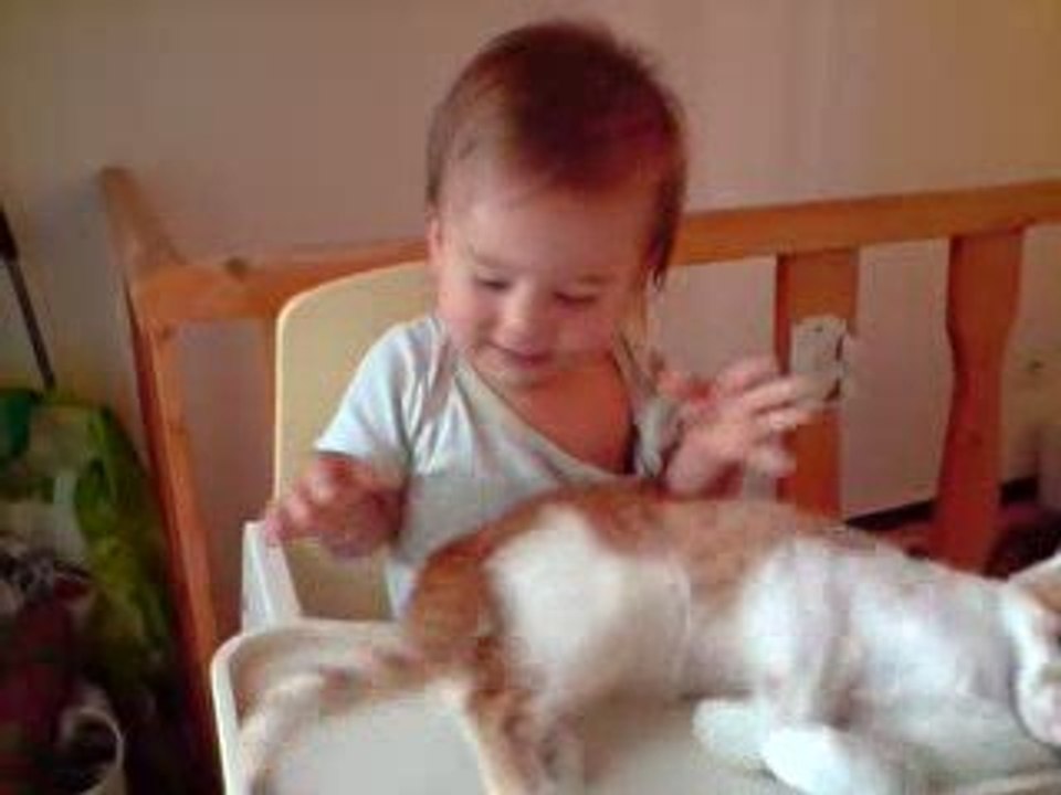 bébé avec un chat