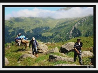 amlakit SLAYT-kavrun.tr.gg