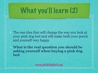 How To Choose Your Pink Dog Bed (unusual)
