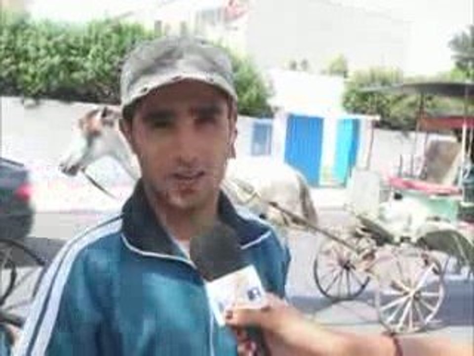 Reportage sur les KOUTCHI à Temara