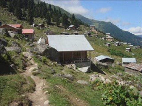 amlakit-remzi bekar -müslüm sarı-kavrun.tr.gg