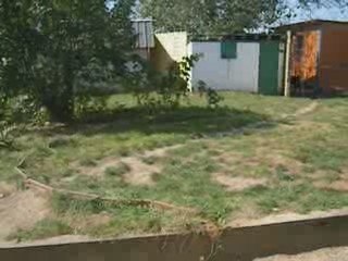 Baodaï & ses bébés 2009