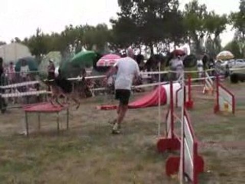 Michel et Shoot Mousquetaires agility 2009