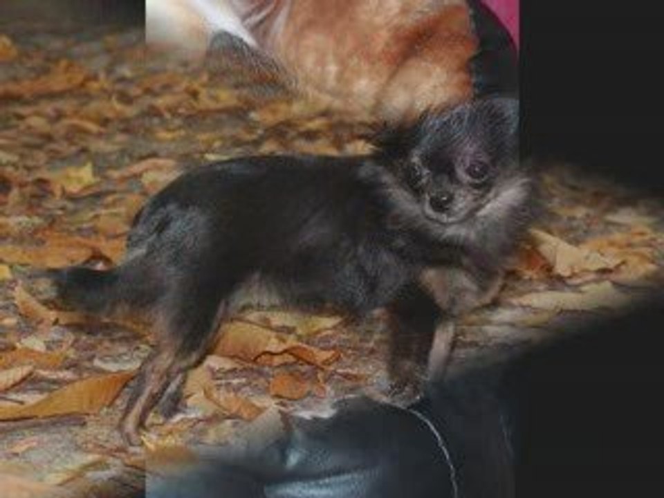 d'lyzzie 1 ans