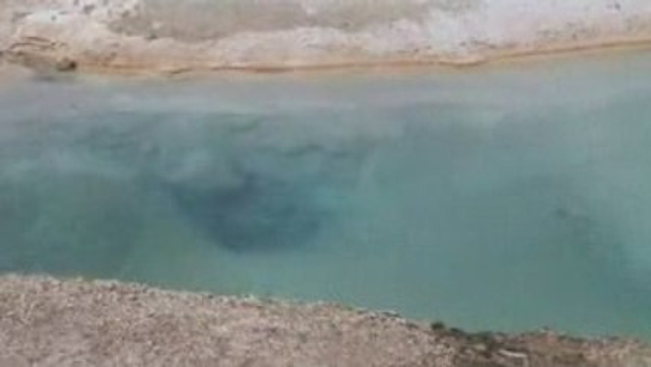 Voyage Yellowstone Jour j+3 (43)