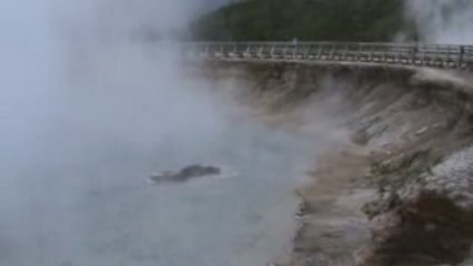 Voyage Yellowstone Jour j+3 (44)