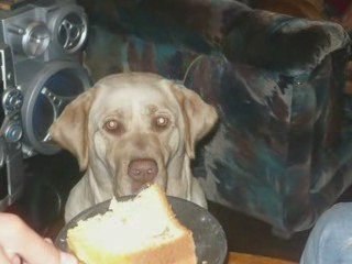 BELEN , MI HERMOSA HIJITA BELEN