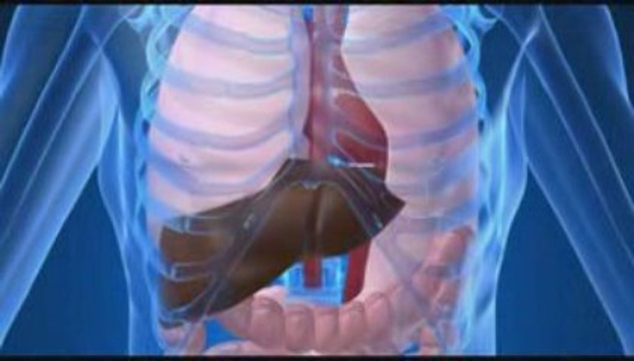 Why Am I So Tired All The Time?