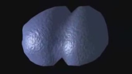 Control de Division Celular -JJ