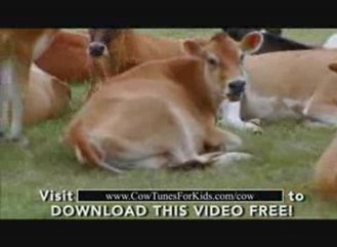 Preschool Song Entitled A Big Book About Ice Cream