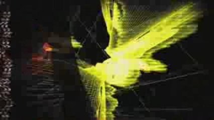 BT - Rose of Jericho