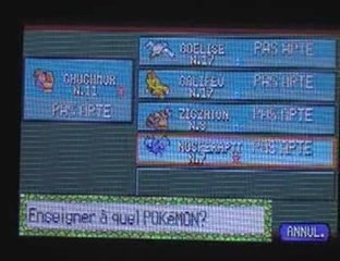 pokemon rubis 12:en noir et noir