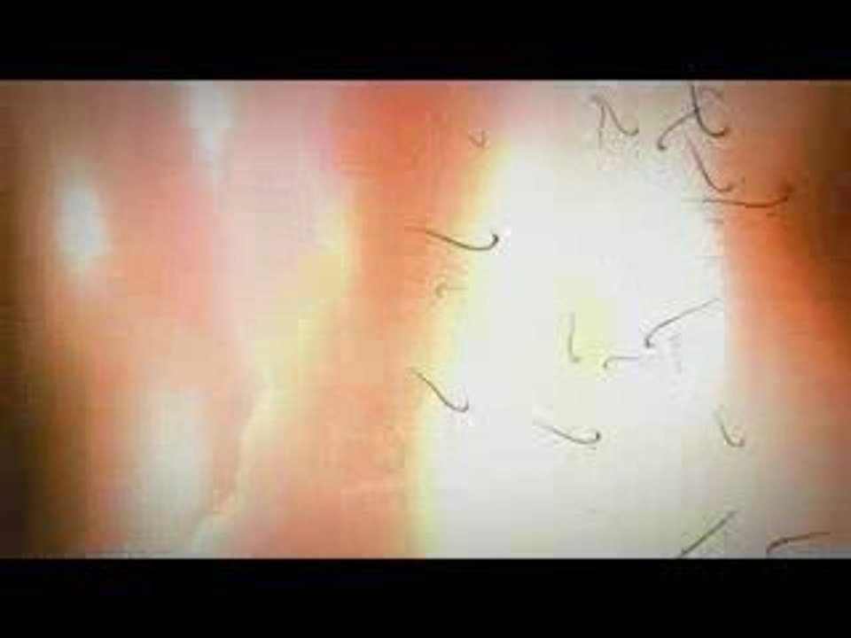 bande-annonce officiel de wow Cataclysm