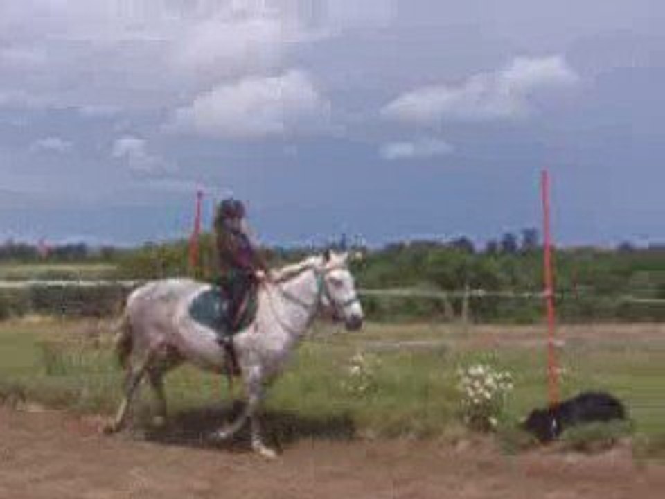 Au galop