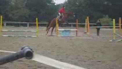 Laura & Hermes ( ♥ )