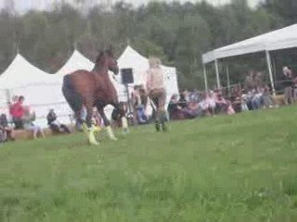 Entrée en Piste des Passsionée ! : )