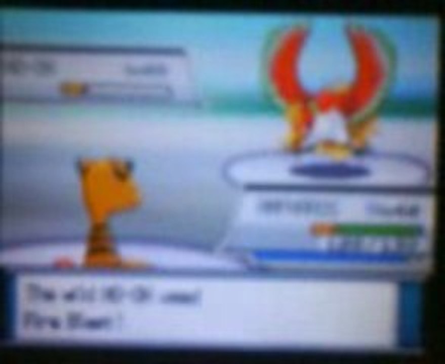 Capture OH-HO pokémon Coeur d'or